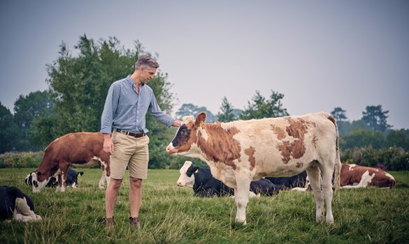 a man standing in a field with cows